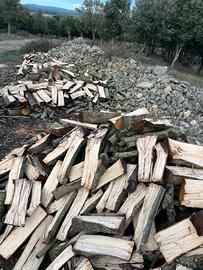 Legna da ardere Leccio Sardo