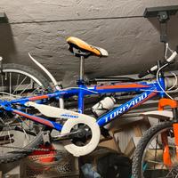 Bici da bambino del 20