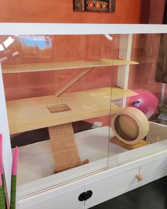 gabbia teca per criceti e Roborowskij