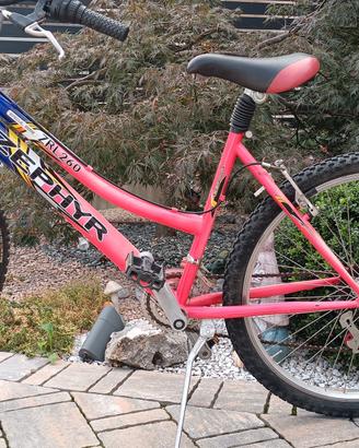 Bicicletta Rampichino 12 marce 26 pollici 