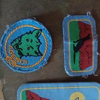 distintivo scout Agesci