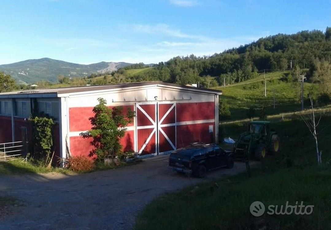 Stalla e Terreno - Vista 2