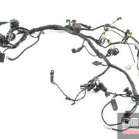 Cablaggio Impianto elettrico Ducati 848 Evo Corse