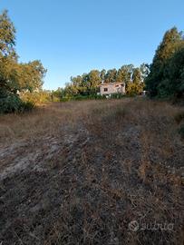 Terreno agricolo pianeggiante di 6 ettari