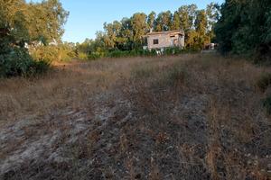 Terreno agricolo pianeggiante di 6 ettari