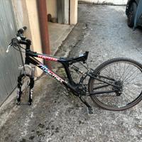 Mountain bike biammortizzata