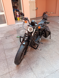 Imoto Harley Davidson XL 883 iron 2019