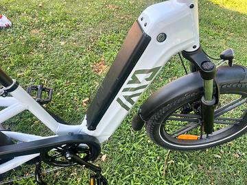 Cargo Bike