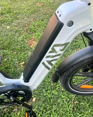 Cargo Bike