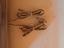 Immagine 6
