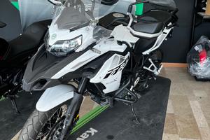 Benelli TRK 502 - 2024