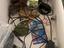 Immagine 2