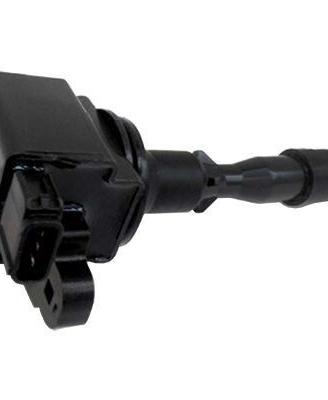 Bobina per Piaggio Porter 1950087102000