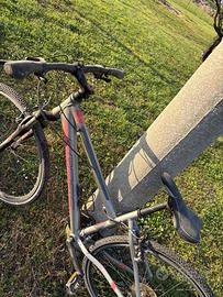 Bicicletta da donna