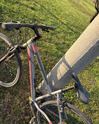 Bicicletta da donna