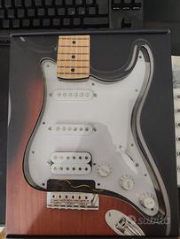 Squier Stratocaster