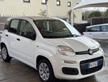 FIAT Panda 1.2 Easy.+GPL
