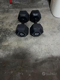 Manubri da 20kg