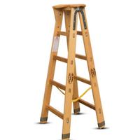 Scala professionale per imbianchino