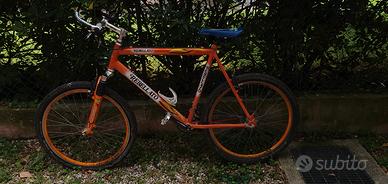 Mountain bike