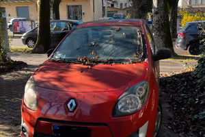 Renault Twuingo