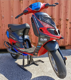 Zip sp1 100cc full 8.1