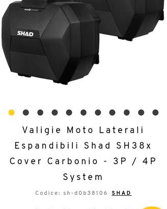 borse, valigie estendibili laterali shad