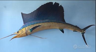 Marlin over originale