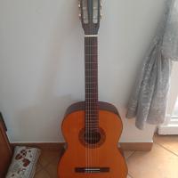 Chitarra 6 corde Roy Guitar