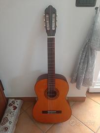 Chitarra 6 corde Roy Guitar