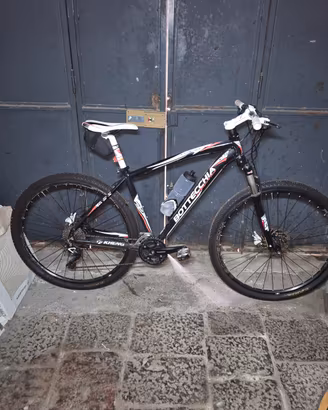 bottecchia gavia 29