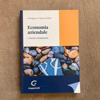Libro Economia aziendale: Concetti e fondamenti