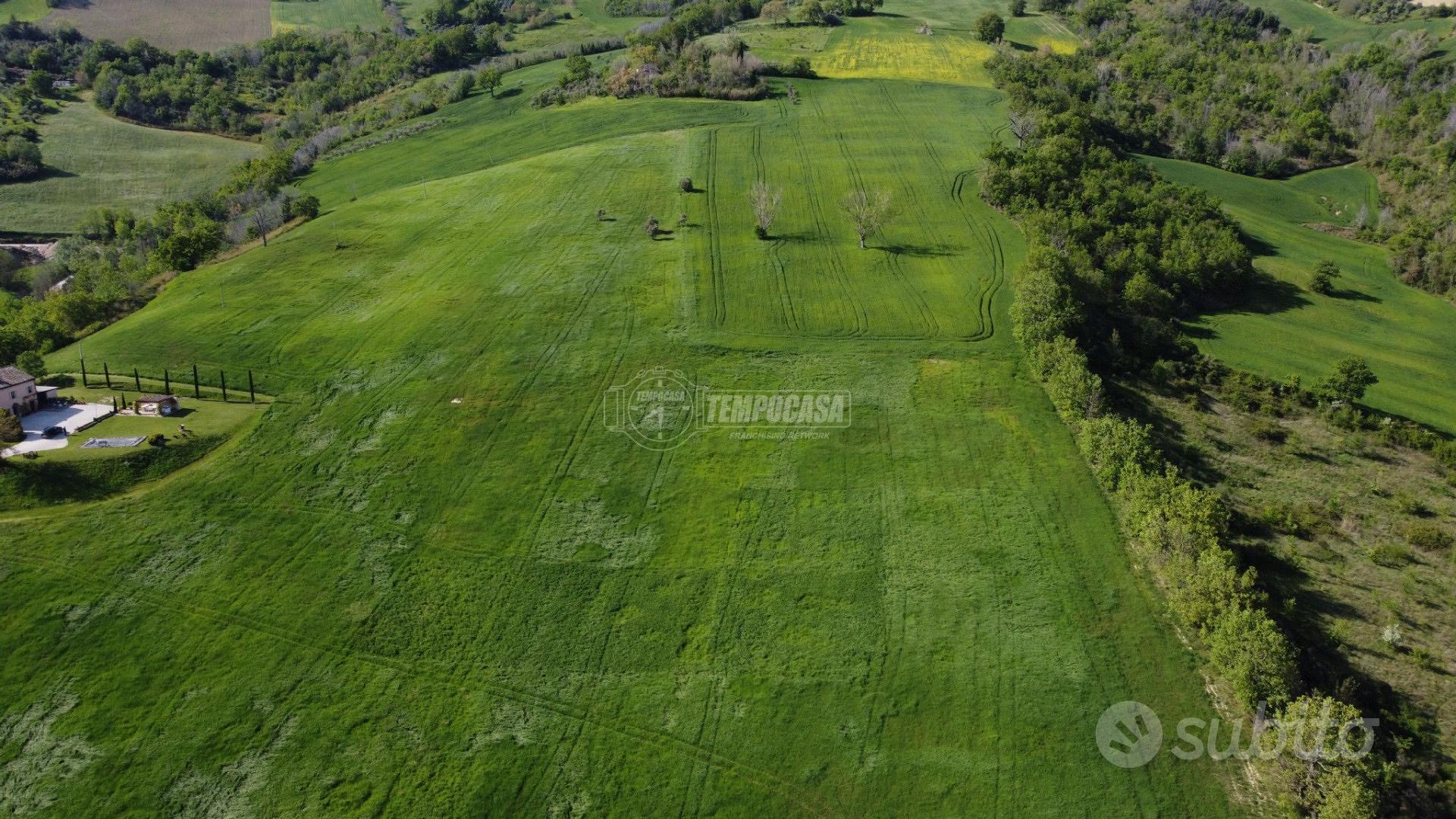 Terreno agricolo di 10 ettari seminativi - Vista 2