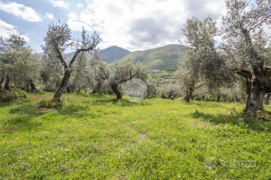 TER. AGRICOLO A PALOMBARA SABINA - Altro