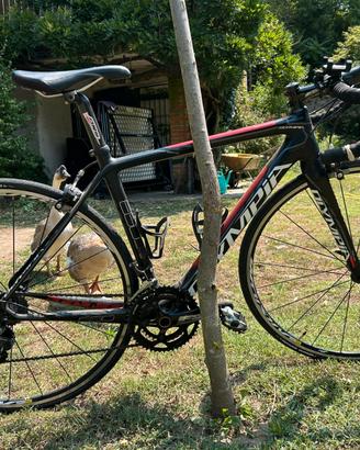 Bici da corsa tg S