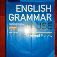 English Grammar in Use Liceo Cecioni Livorno