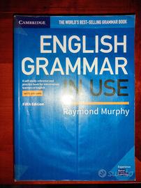 English Grammar in Use Liceo Cecioni Livorno