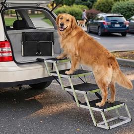 scala per cani
