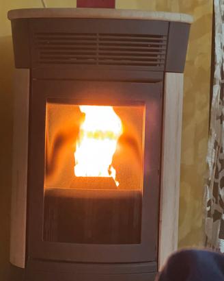 Stufa pellet Edilkamin