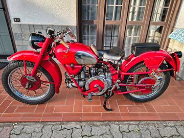 guzzi falcone
