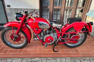 guzzi falcone