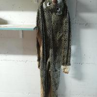 Costume di carnevale di leo-ghepardo