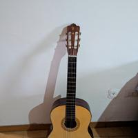 chitarra Spencer By Eko