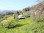 Immagine 18