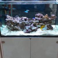 ACQUARIO aquamar 240 - 92 cm