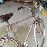 bici uomo diana