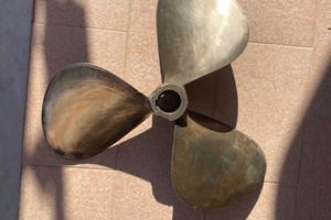 ELICA RADICE Sinistrorsa