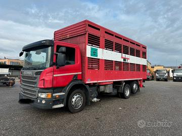 SCANIA P 320 TRASPORTO ANIMALE 3 ASSI 6X2