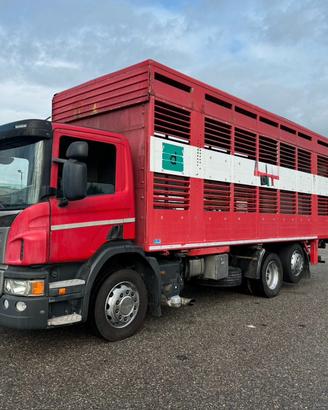 SCANIA P 320 TRASPORTO ANIMALE 3 ASSI 6X2