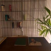 Libreria metrica mogg